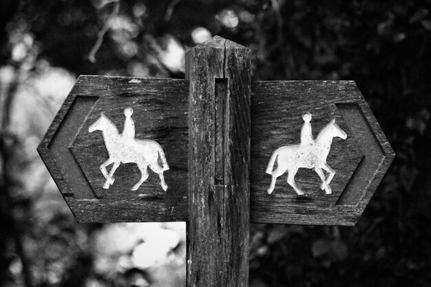 Photo un panneau d'équitation en bois dans la forêt