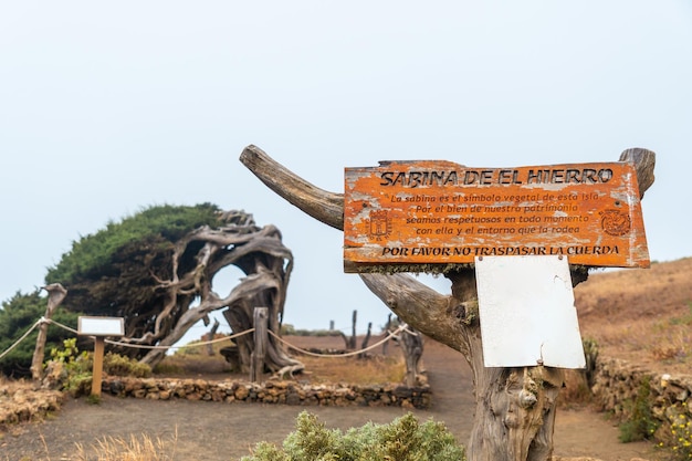 Panneau informatif Sabinar à El Hierro Canaries