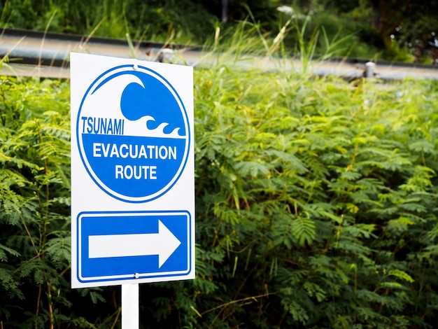 Panneau d'itinéraire d'évacuation du tsunami sur des feuilles vertes près de la route avec espace de copie. Message de signalisation routière "Voie d'évacuation du tsunami" à destination des habitants de l'île du sud de la Thaïlande.