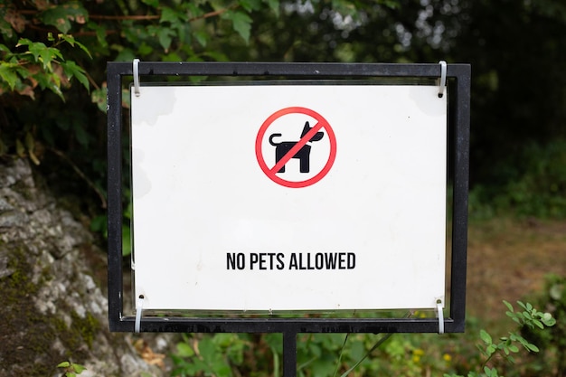 Un panneau sur une roche dans les bois, pas de chiens autorisés.