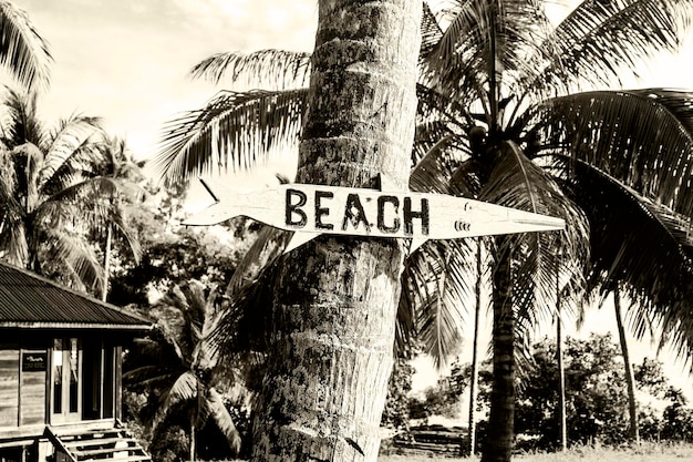 Panneau de signalisation indiquant "Beach" près d'un complexe tropical caché dans la jungle à Bornéo, Pointe de Bornéo, Sabah