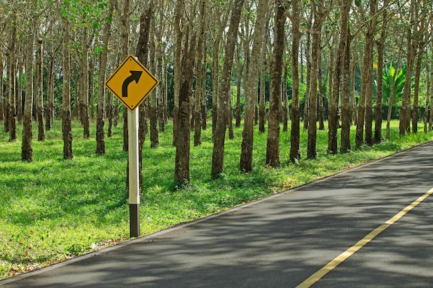 Un panneau de signalisation par les arbres dans la forêt