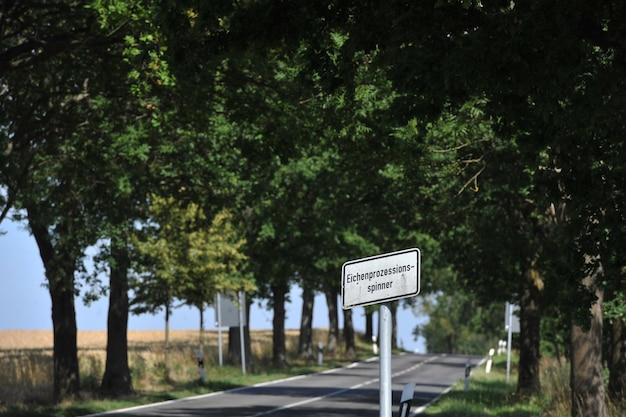 Le panneau de signalisation par les arbres