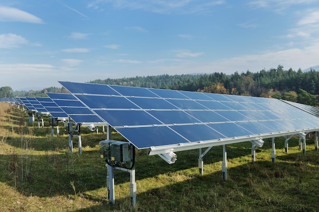 panneau solaire champ d'énergie écologique renouvelable