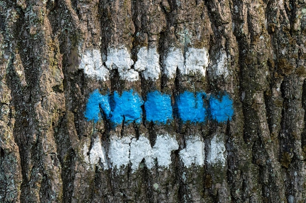 Panneau touristique sur l'arbre pour un voyage touristique