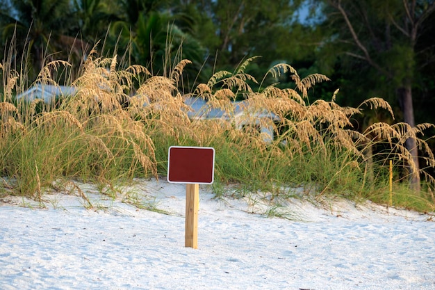 Panneau vide avec espace de copie sur la plage en bord de mer avec de petites dunes de sable et une végétation herbeuse lors d'une chaude soirée d'été