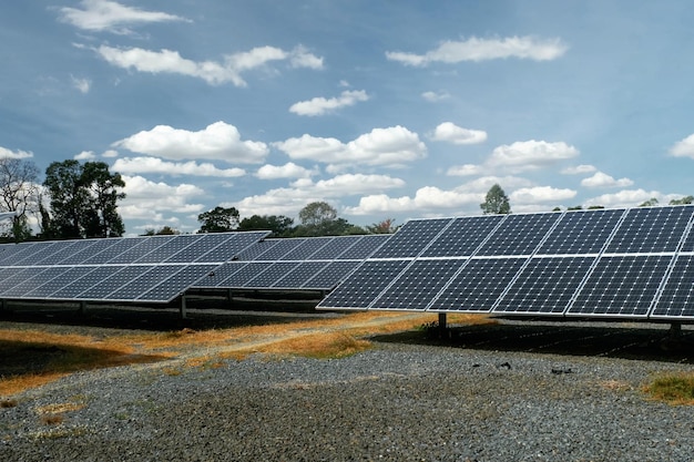 Panneaux solaires au sol contre le ciel