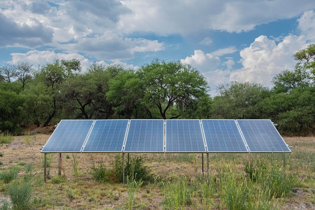 Panneaux solaires sur un champ de paysage verdoyant