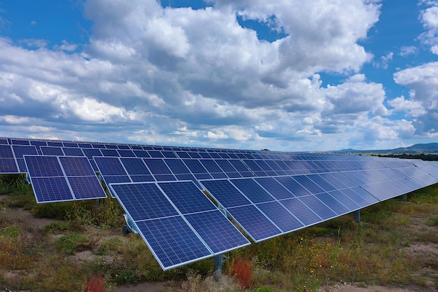 Panneaux solaires dans les champs verts sous le soleil éclatant