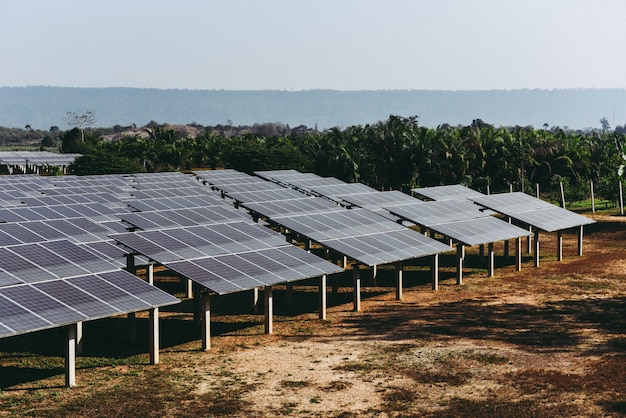 Les panneaux solaires dans la ferme solaire avec un arbre vert et un éclairage solaire se reflètent. concept d'énergie solaire ou d'énergie renouvelable