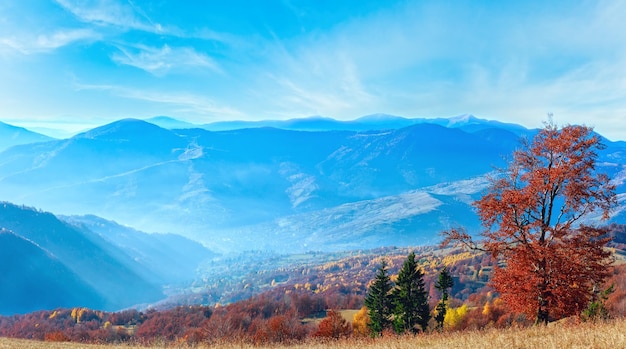 Panorama d'automne des Carpates