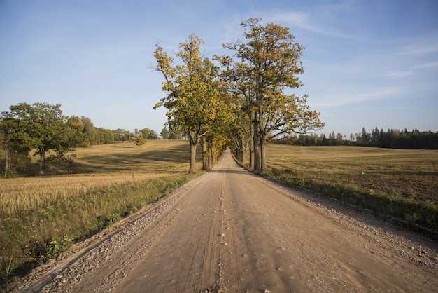 Panorama d'automne. Vue paysage.