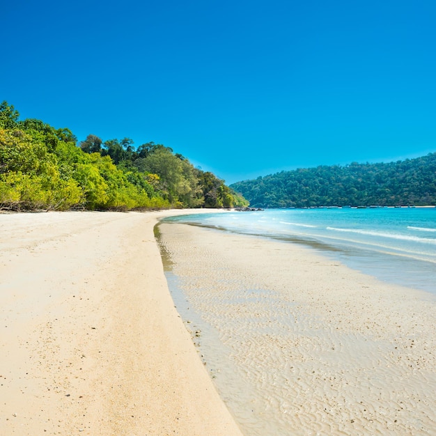 Panorama de la belle plage de l'île tropicale avec du sable blanc et des arbres verts