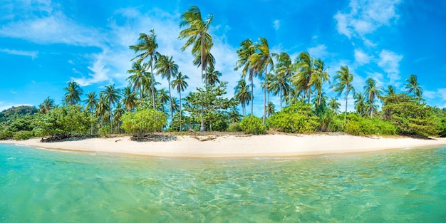 Panorama de la belle plage sur l'île tropicale paradisiaque avec cocotiers, sable blanc et mer bleue