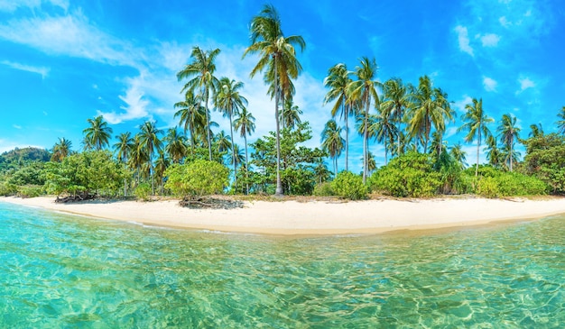 Panorama de la belle plage sur l'île tropicale paradisiaque avec cocotiers, sable blanc et mer bleue