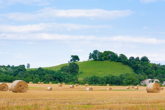 Panorama de la campagne italienne. Balles rondes sur champ de blé. Agriculture, vie rurale