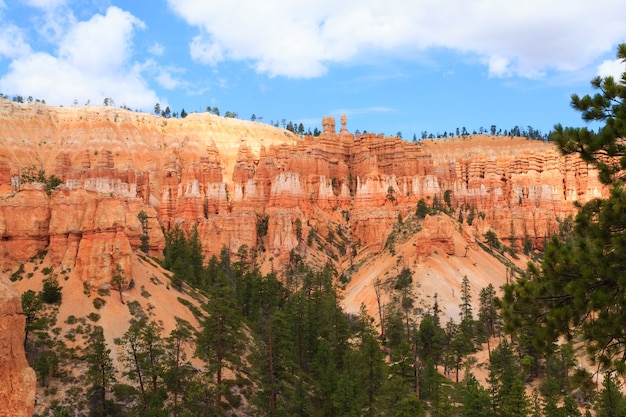 Panorama depuis le parc national de Bryce Canyon