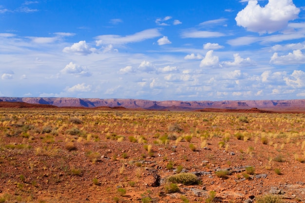 Panorama du désert de l'Arizona. Buisson jaune et ciel bleu avec des montagnes rouges en arrière-plan. Paysage USA