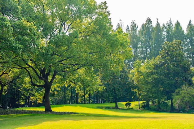 Panorama du grand parc de la ville