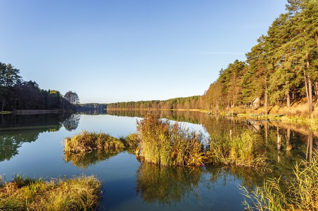 Panorama du magnifique paysage du lac large dans la forêt de pins