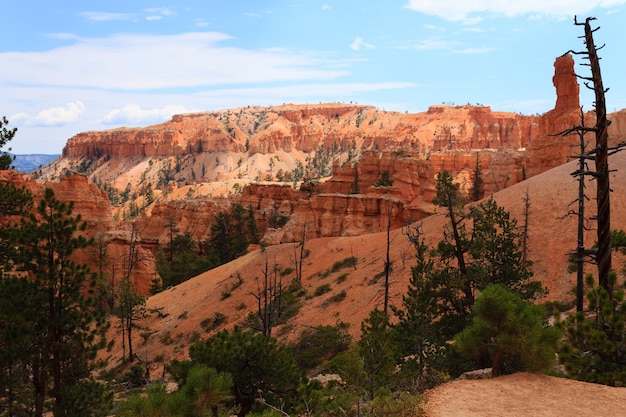 Panorama du parc national de Bryce Canyon, États-Unis. Hoodoos, formations géologiques. Beau paysage