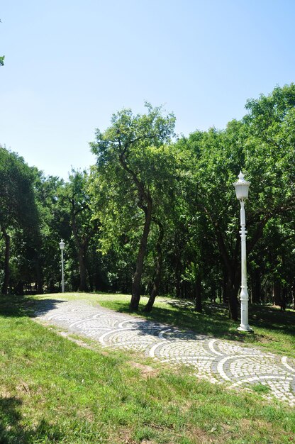 Panorama du parc de la ville d'Istanbul. Il est construit de pierres et d'arbres verts du parc. Journée ensoleillée, été.