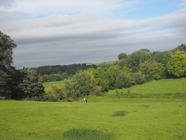 Panorama du pays anglais à Salisbury