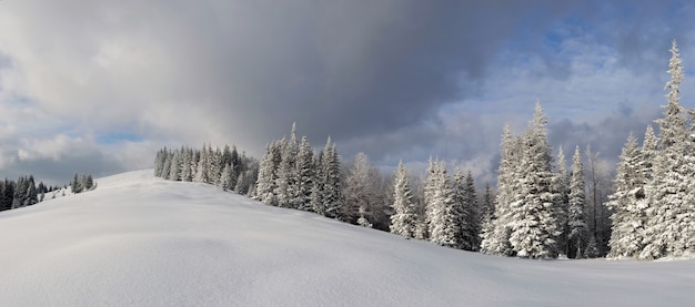 Photo panorama du paysage d'hiver dans les montagnes des carpates