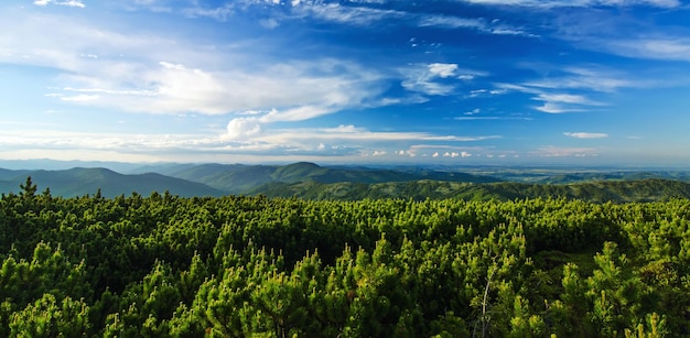 Panorama du paysage de montagne des Carpates