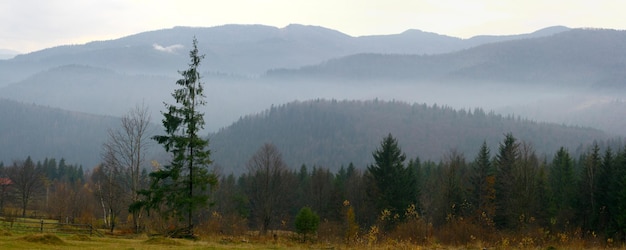 Panorama du paysage de montagne en matinée tranquille