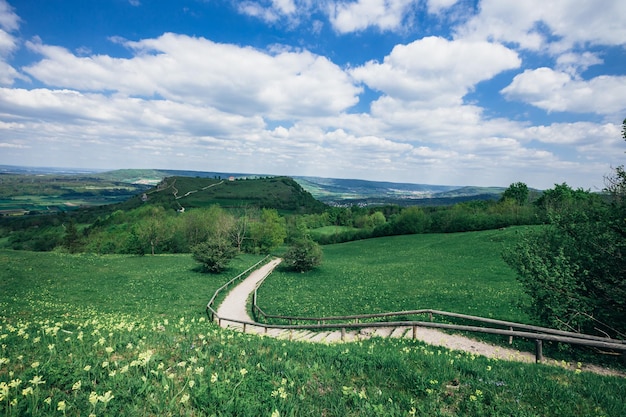 Panorama d'été des montagnes en Europe