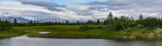 Panorama d'été de la rivière à Yamal