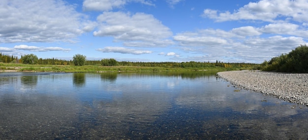 Panorama d'été de la taïga du Nord