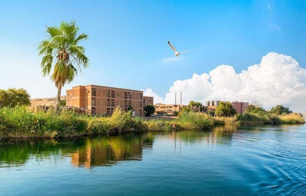Panorama fleuve Nil et bateaux