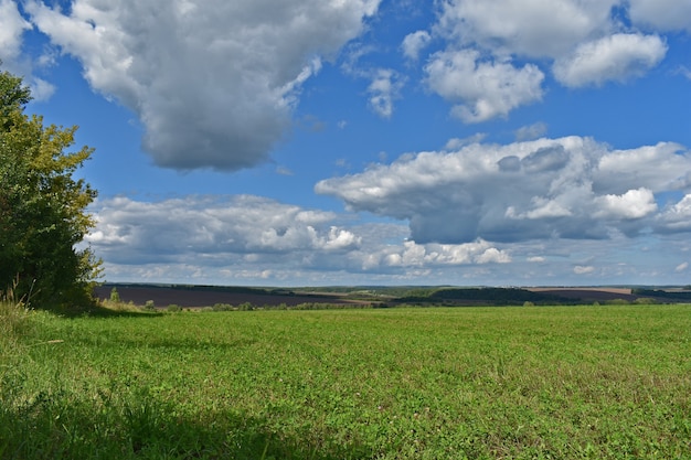 Panorama de grand champ et de nuages