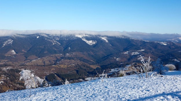 Panorama hivernal des montagnes par une journée ensoleillée Carpates Ukraine