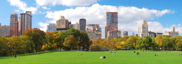 Panorama d'horizon de New York City Manhattan Central Park
