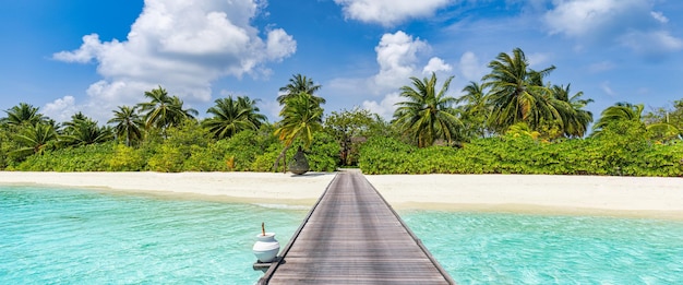 Panorama incroyable aux Maldives. Paysage marin de jetée de villas de villégiature de luxe avec palmiers, rivage de sable blanc