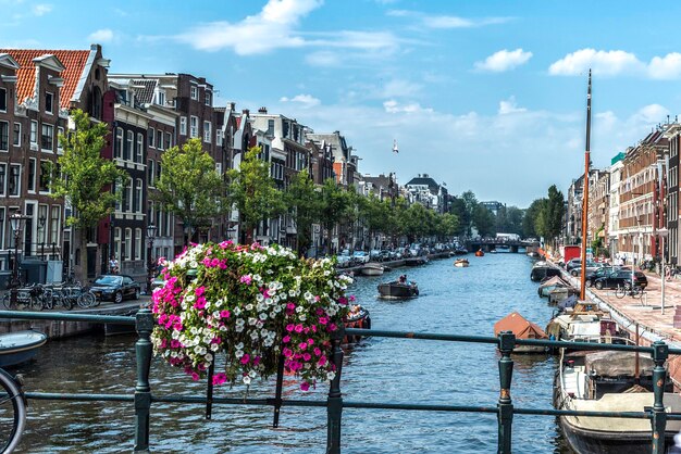 Panorama des maisons traditionnelles et d'un canal d'Amsterdam pendant le matin