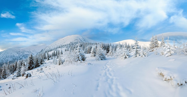 Panorama de montagne d'hiver de matin