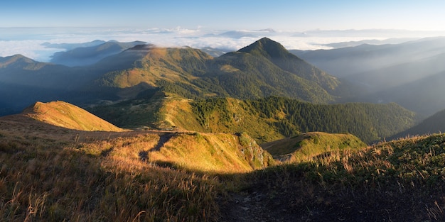 Panorama de la montagne. Paysage d'automne du matin. Premiers rayons de soleil sur les collines. Carpates, Ukraine, Europe