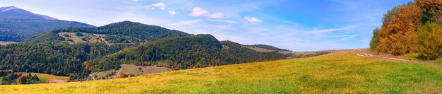 Panorama des montagnes des Carpates - forêts sauvages, pâturages de champs