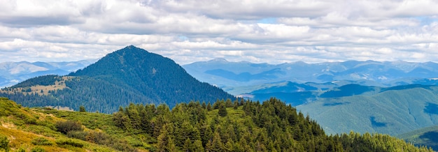 Panorama des montagnes des Carpates en journée ensoleillée d'été.