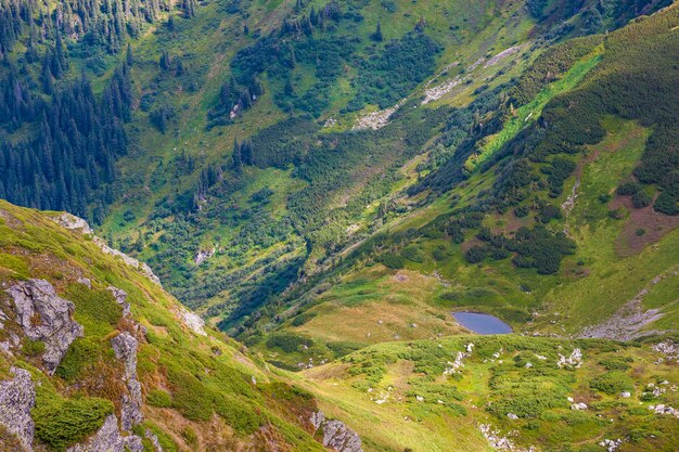 Panorama des montagnes des Carpates en journée ensoleillée d'été