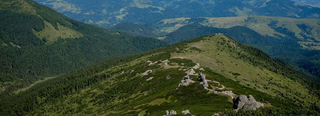 Panorama des montagnes des Carpates le matin d'été