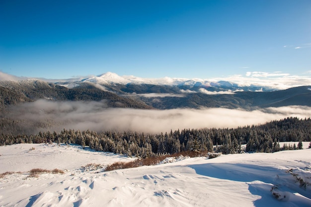 Panorama des montagnes enneigées, de la neige et des nuages à l'horizon