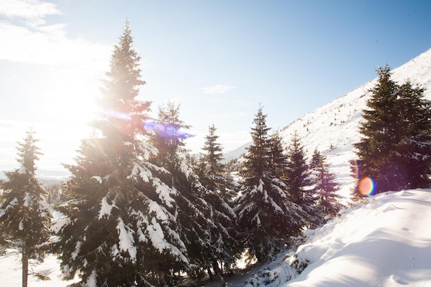 Panorama des montagnes enneigées, de la neige et des nuages à l'horizon