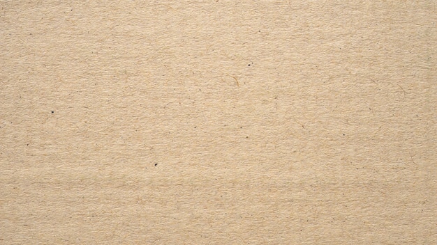 Panorama de papier kraft et texture