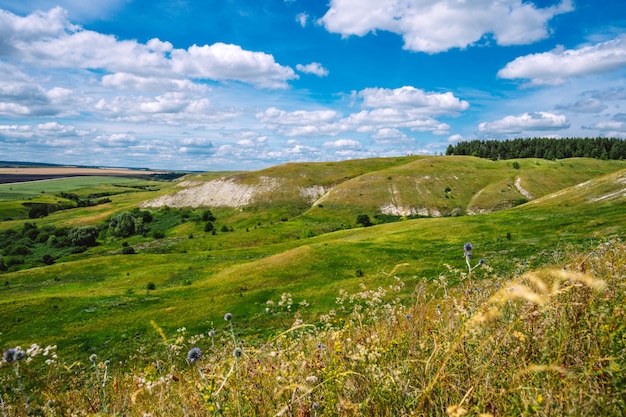 Panorama d'un paysage pittoresque avec des collines et des pelouses vertes et un ciel bleu avec des nuages