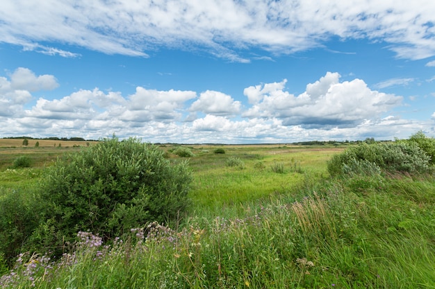 Panorama pittoresque de la nature de la région de Pskov, Russie.